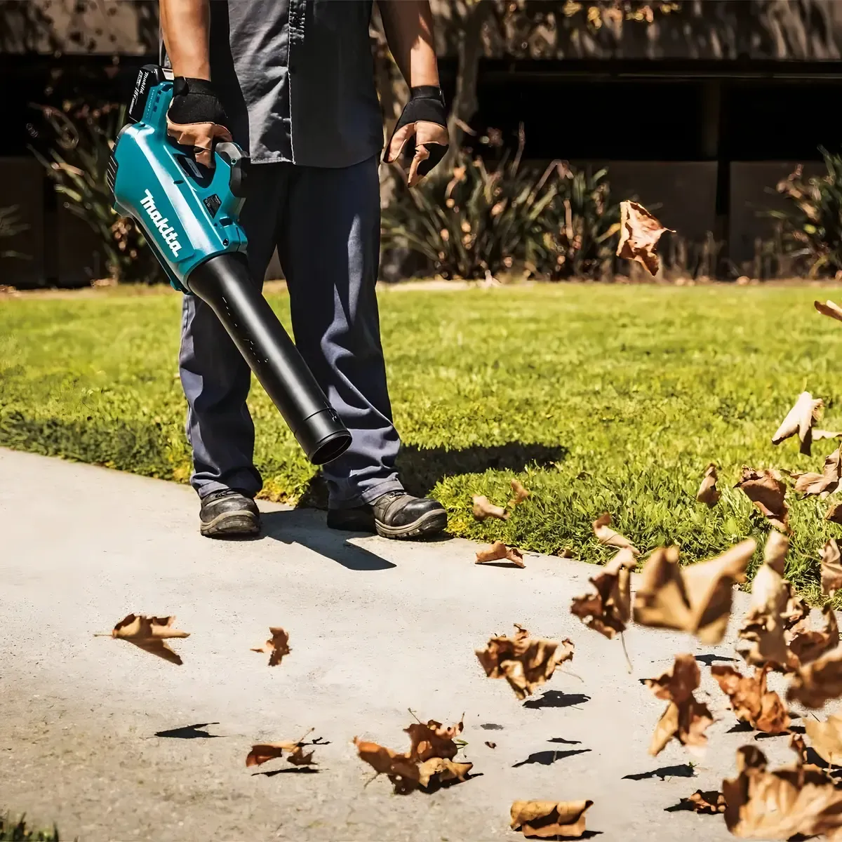 Soplador Inalámbrico Makita DUB184 18V, modelo Sauber
